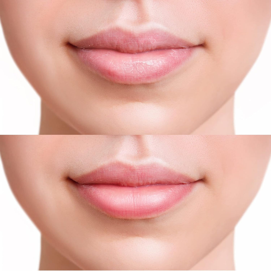 FRUDIA - Blueberry Hydrating Honey Lip Balm