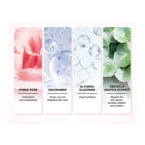 FOCALSKIN Brightening Overnight Mask with Real Rose Petals